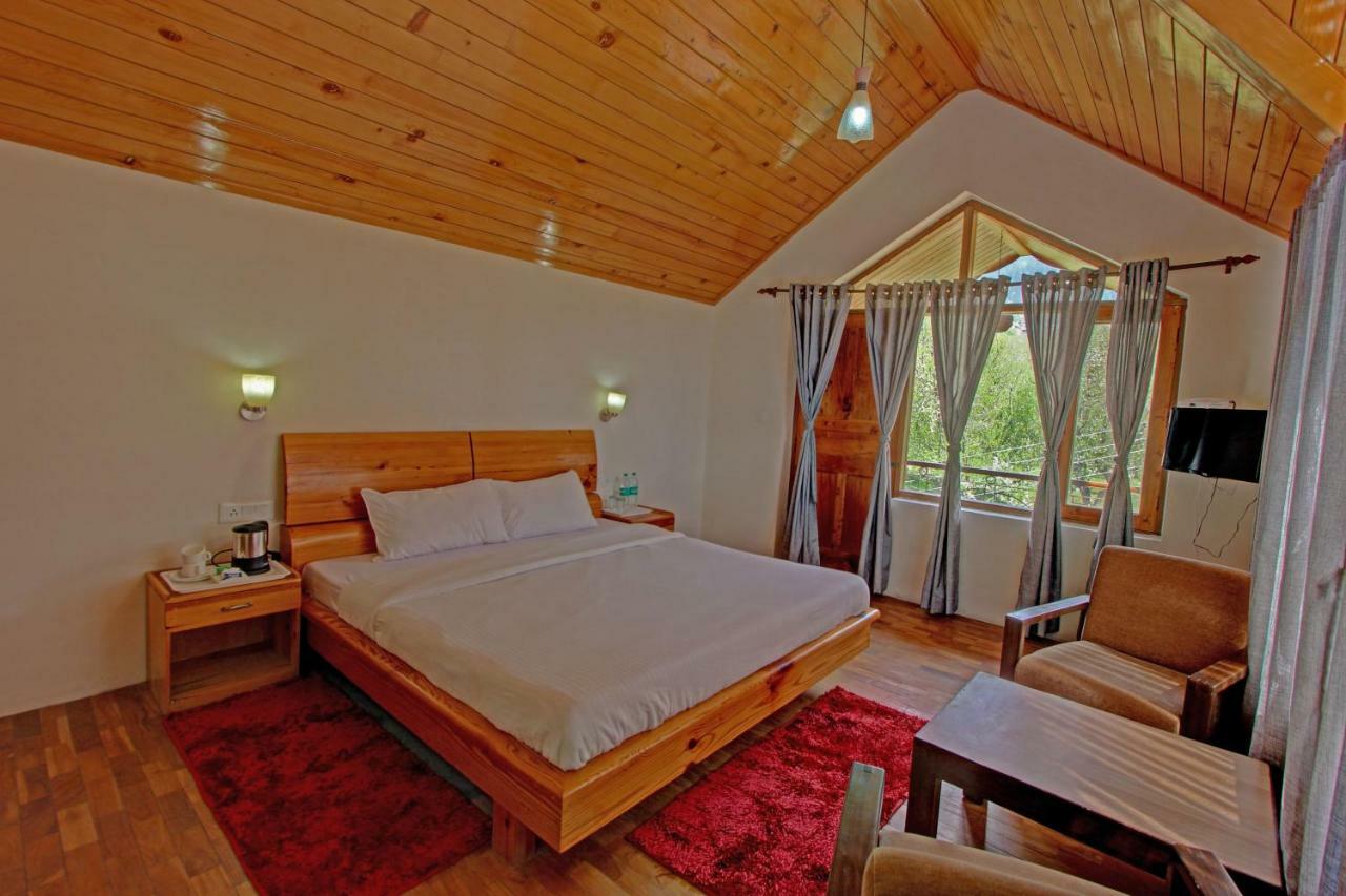 Conifer * Manali (Himachal Pradesh)