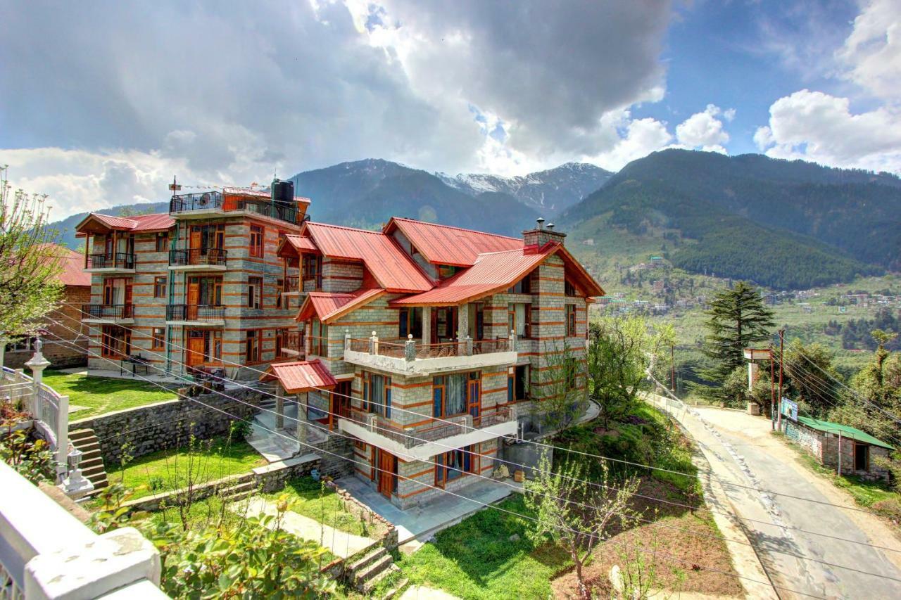 Conifer * Manali (Himachal Pradesh)